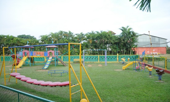 portfolio woocommerce