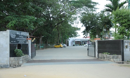 portfolio woocommerce